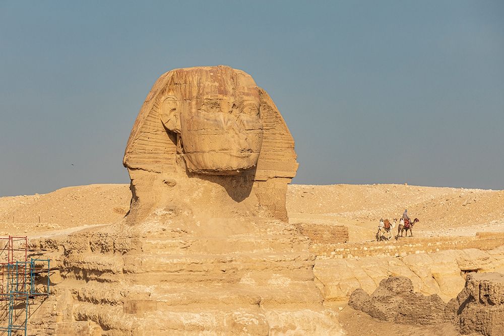 Africa-Egypt-Cairo Giza plateau Great Sphinx of Giza